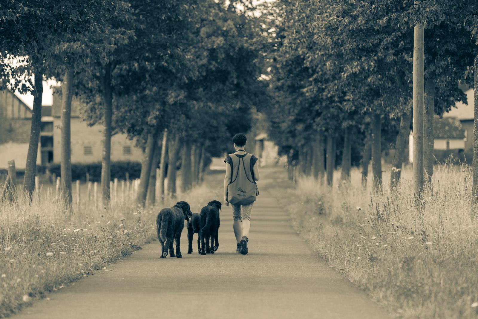 20150820 IMGL4086 (Kopie)